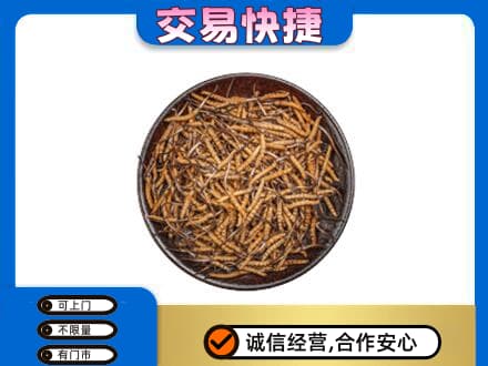 甘南合作市高价回收散虫草